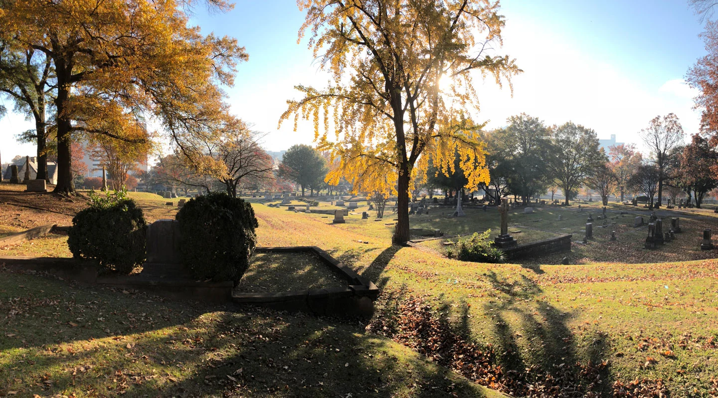 Autumn